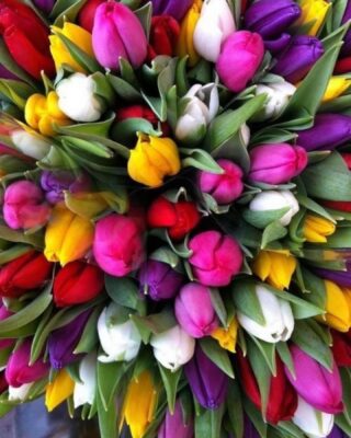 Nieuwjaarsborrels gaan helaas niet door. Verras je medewerkers met een fleurig boeket. Renate Bloembindkunst bezorgd graag je nieuwjaars Bloemengroet. Www.Bloembindkunst.nl of bel 📞 010-2233836. #nieuwjaar2022 #nieuwjaarsreceptie #nieuwjaarsborrel #fleurig #kleurrijk #bloemrijk #frissestart #nieuwbegin #2022 #steunlokaal #renate #bloembindkunst #bleiswijk #wijbezorgen